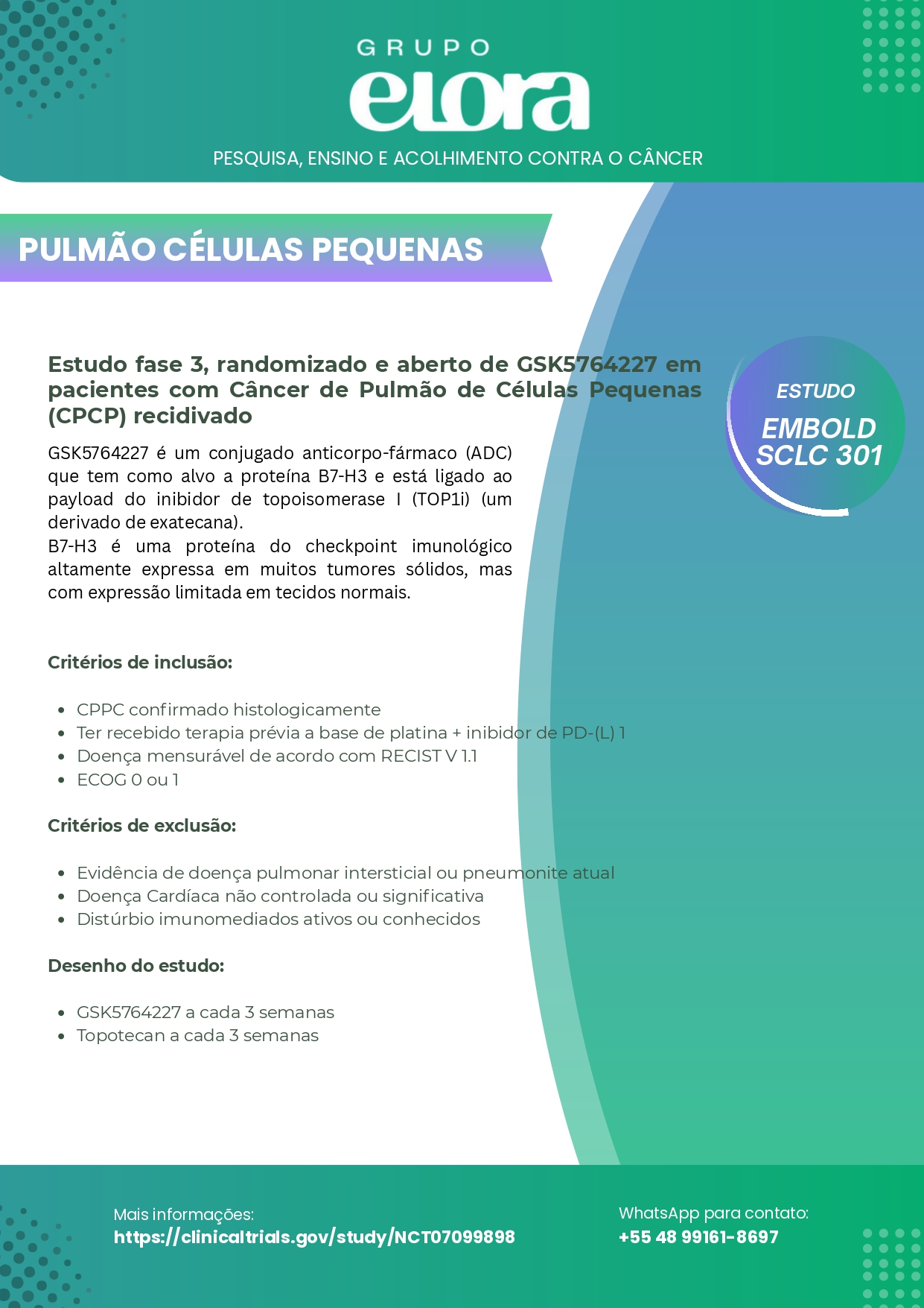 Lâmina oficial - Câncer de Pulmão de Pequenas Células Recidivado